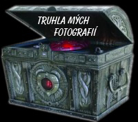 Truhla mch fotografi