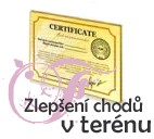 semin plus
