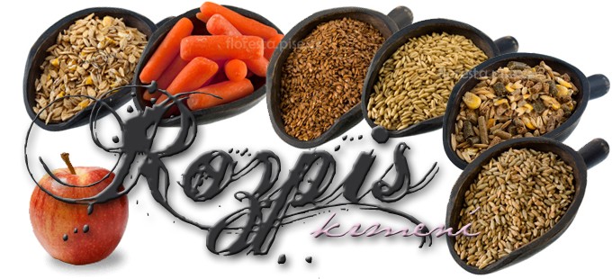 rozpis kopie