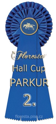 hallcup2