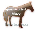 hlavy