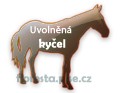 kyčel
