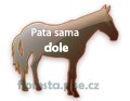 pata