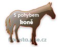 s pohybem koně