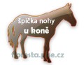 spička