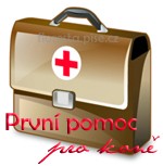 prvn pomoc kopie