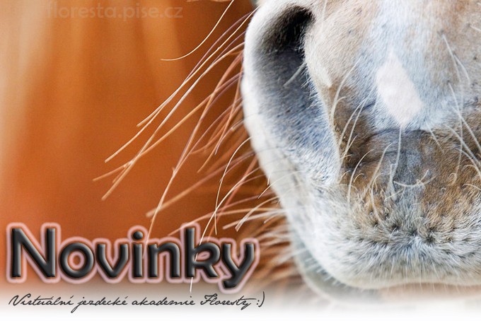 novinky