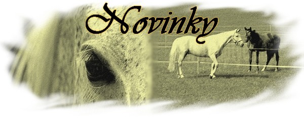 Novinky